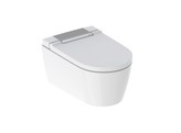 GEBERIT AQUACLEAN SELA COMPLETE HANG-WC  GLANSVERCHROOMD