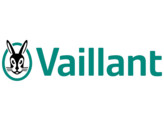 VAILLANT BIMETAAL 04-0004