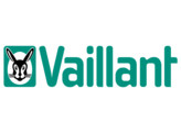 VAILLANT WAAKVLAMBRANDER MAG 125/11  EINDE REEKS 